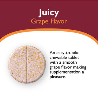Βιταμίνη Multi-ADEK με 60mg σίδηρο, μασώμενη, Grape